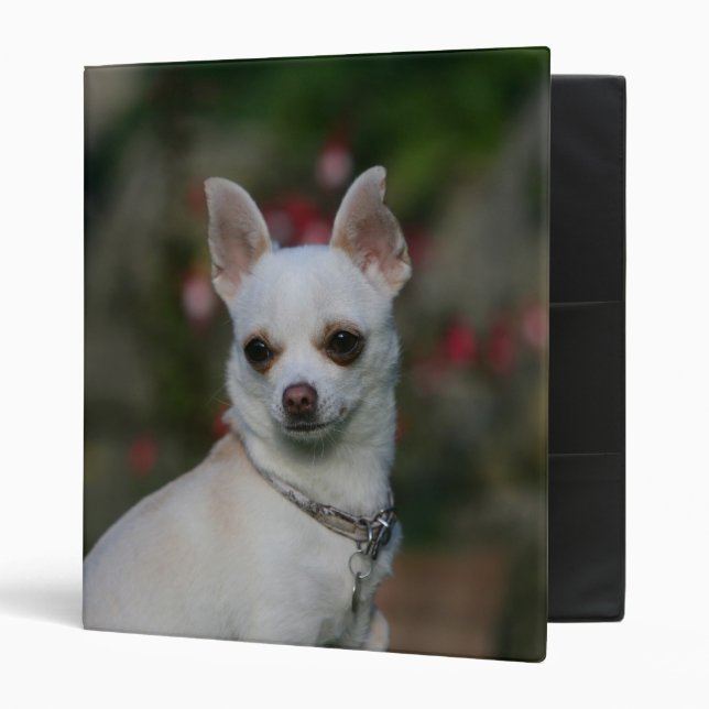 White Chihuahua Binder (Front/Inside)