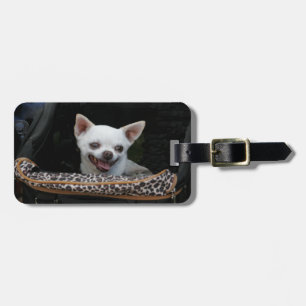 White Chihuahua Luggage Tag
