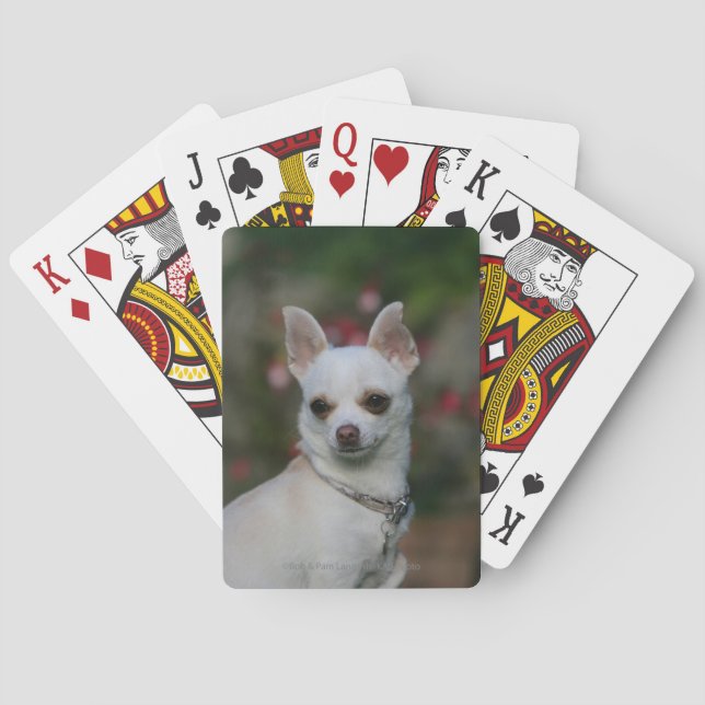 White Chihuahua Playing Cards (Back)