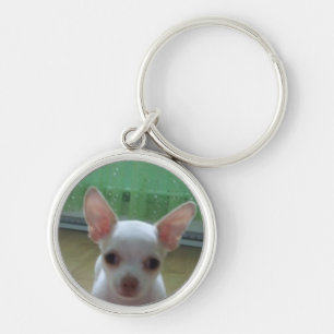 White Chihuahua Pup Keychain