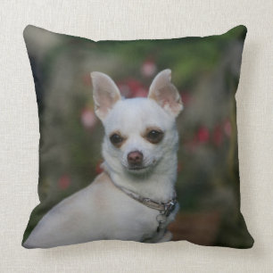 White Chihuahua Throw Pillow