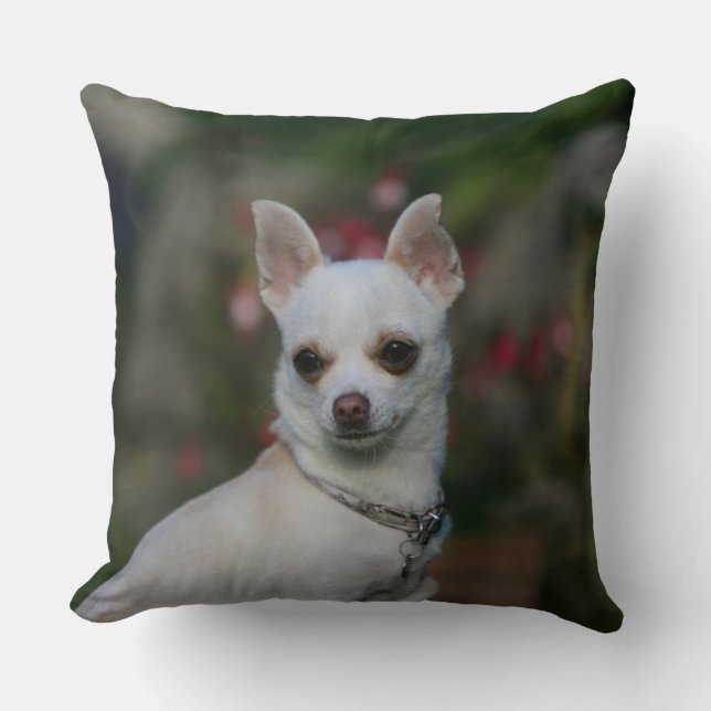 White Chihuahua Throw Pillow (Front)
