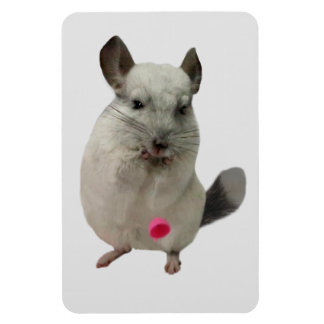 White chinchilla dropping cup magnet