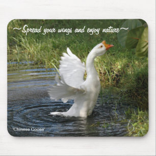 White Chinese Goose flapping wings Mousepad