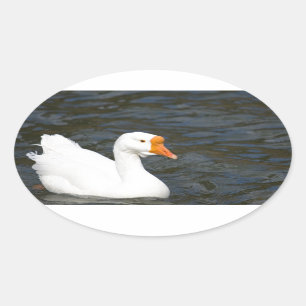 White Chinese Goose Oval Sticker