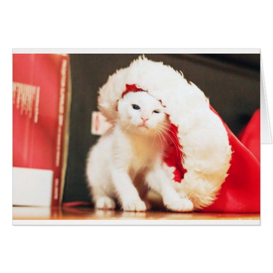 White Christmas Cat Card