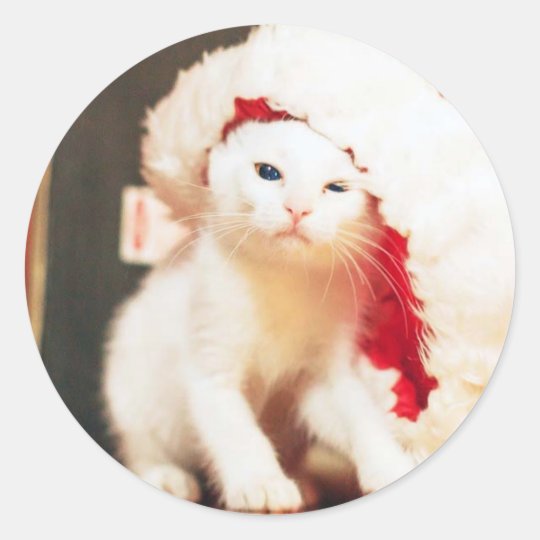 White Christmas Cat Classic Round Sticker