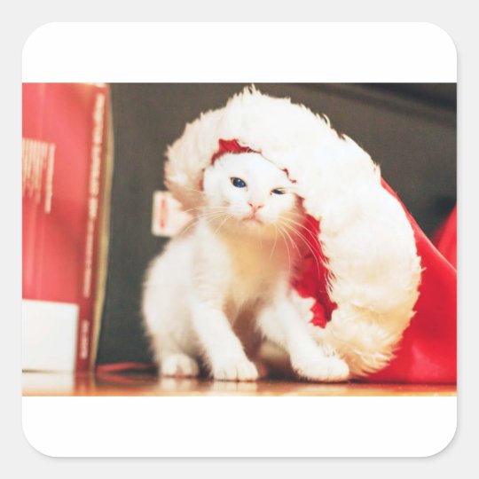 White Christmas Cat Square Sticker