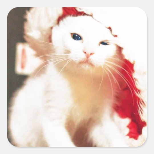 White Christmas Cat Square Sticker