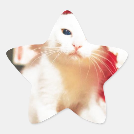 White Christmas Cat Star Sticker