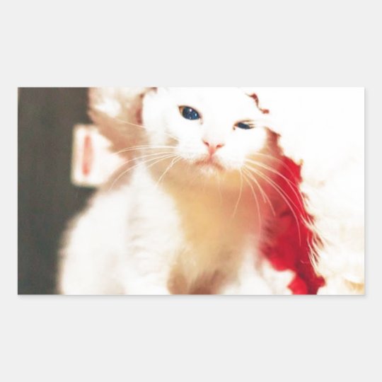 White Christmas Cat Sticker