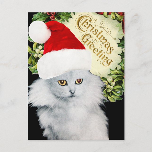 WHITE CHRISTMAS CAT WITH SANTA CLAUS HAT HOLIDAY POSTCARD (Front)
