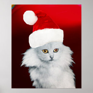 WHITE CHRISTMAS CAT WITH SANTA CLAUS HAT ,Red Ruby Poster