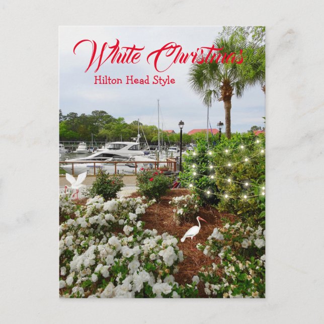 White Christmas Hilton Head Style! South Carolina  Holiday Postcard (Front)