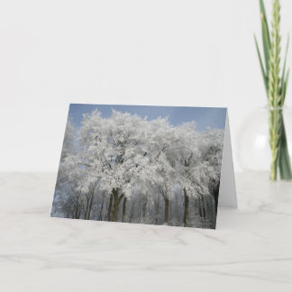 White Christmas Holiday Card
