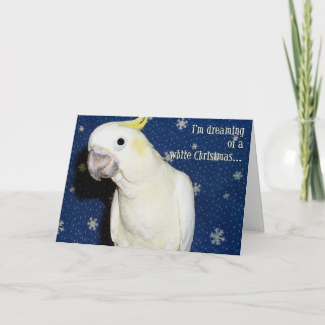 White Christmas Holiday Card (Front)