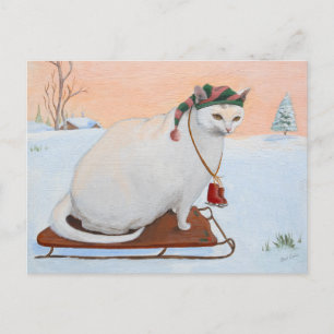 White Christmas Holiday Cat in Snow Postcard