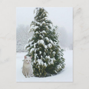 White Christmas Holiday Postcard