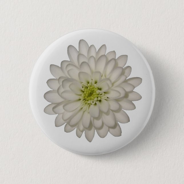 White Chrysanthemum Button (Front)