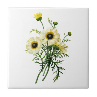 White Chrysanthemum by Pierre Joseph Redoute Tile