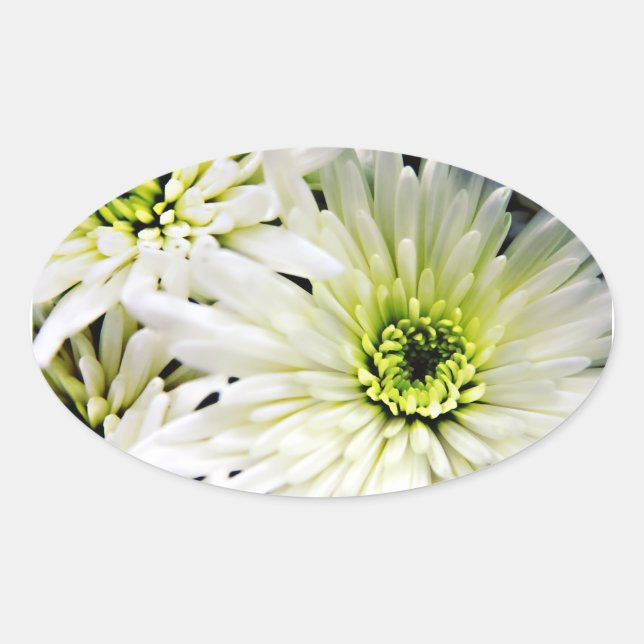 White Chrysanthemum oval stickers (Front)