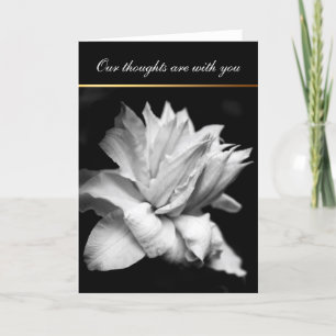 White Clematis 1 Condoléances Carte de sympathie