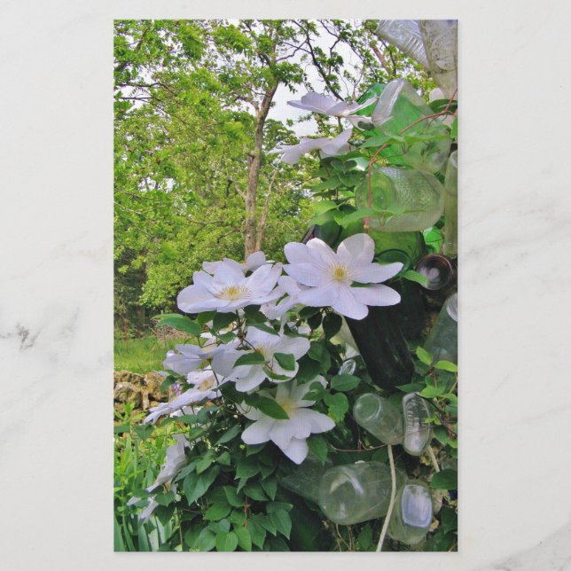 White Clematis Blossoms Stationery (Front)