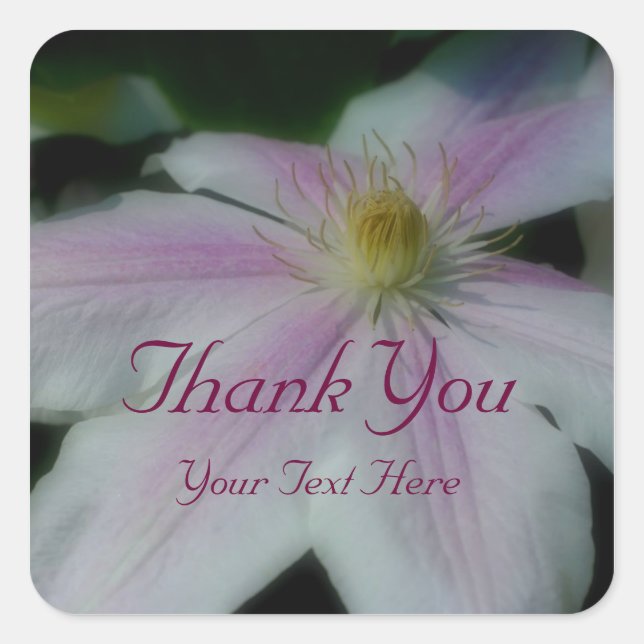White Clematis Flower Thank You Square Sticker (Front)