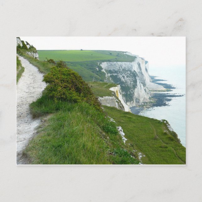 White Cliffs Of Dover Postcard (Front)