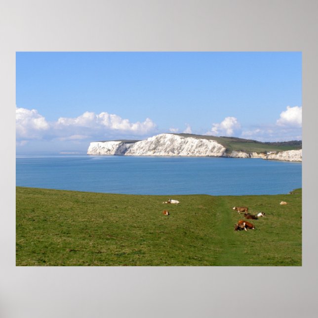White cliffs of the Isle of Wight Poster (Front)