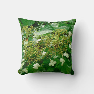 White Climbing Hydrangea - Pillow