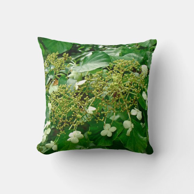 White Climbing Hydrangea - Pillow (Front)