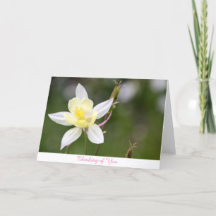 White Columbine Thinking of You Card