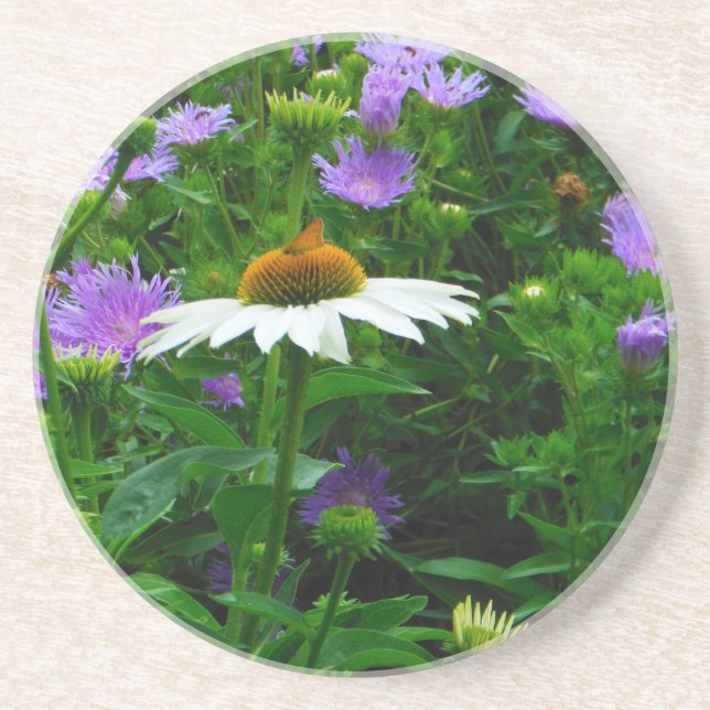 White Cone flower, purple flowers and moth Coaster (Front)