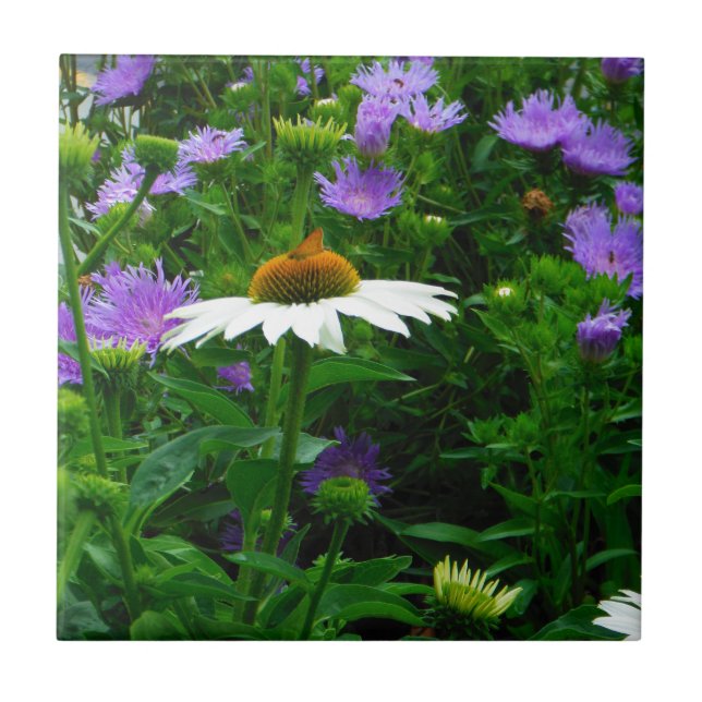 White Cone flower, purple flowers and moth Tile (Front)