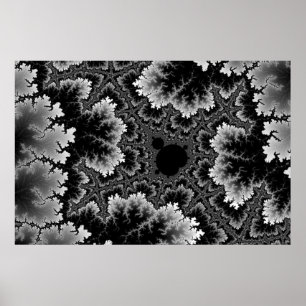 White Coral Poster