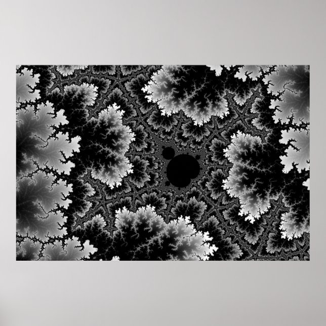 White Coral Poster (Front)