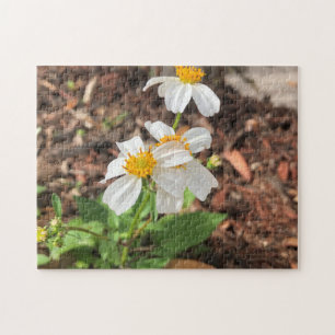 White Cosmo Flowers Garden Spring Floral Jigsaw Puzzle