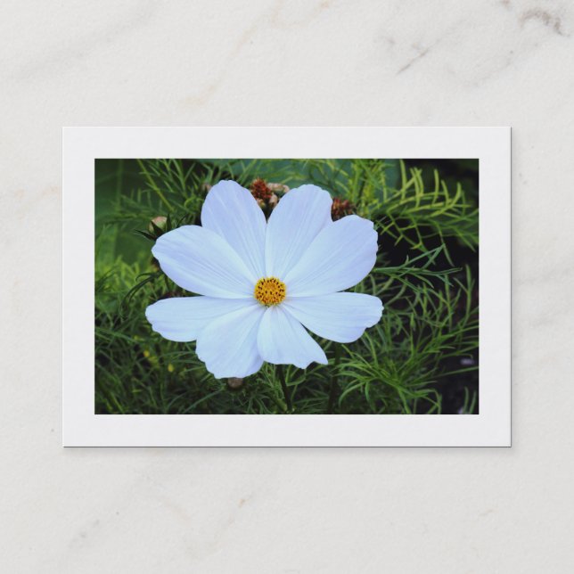 White Cosmos (Bordered) Business Card (Front)
