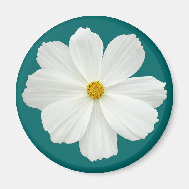 White Cosmos Flower Magnet (Front)