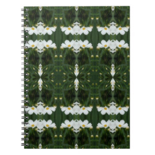 White Cosmos Flowers Abstract Art Notebook
