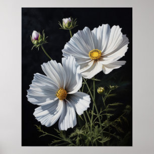 White Cosmos Flowers Art Print Poster