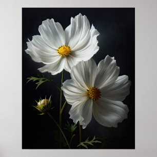 White Cosmos Flowers Art Print Poster
