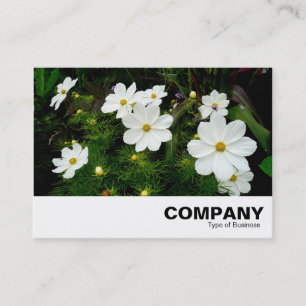 White Cosmos Flowers Business Card