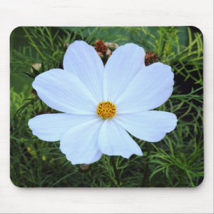 White Cosmos Mouse Pad