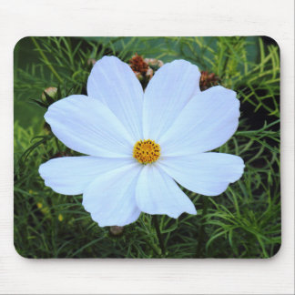 White Cosmos Mouse Pad
