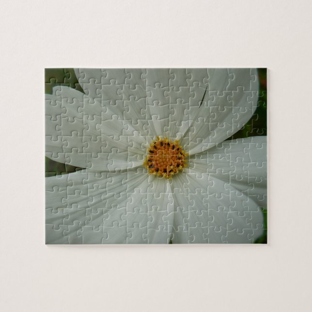 White Cosmos Summer Wildflower Floral Jigsaw Puzzle (Horizontal)