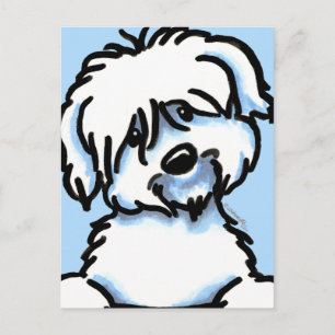 White Coton de Tulear Face Postcard