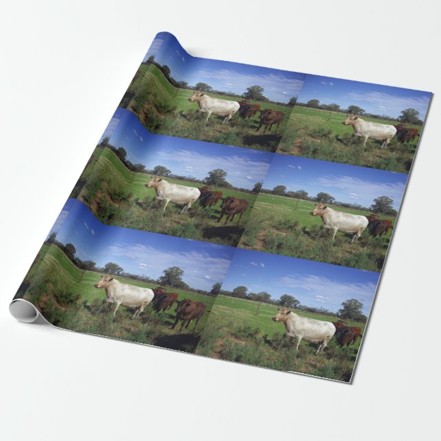 White Cow And His Herd, Wrapping Paper (Unrolled)