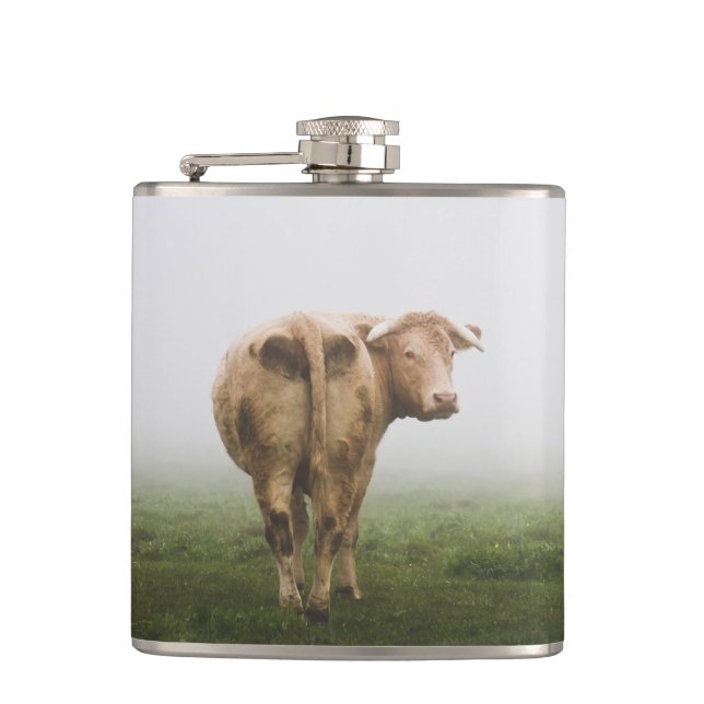 White Cow Bull looking Back in a Foggy Field Hip Flask (Front)